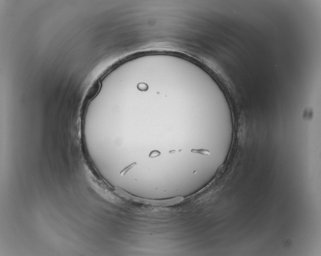 X0000110931372200907091511