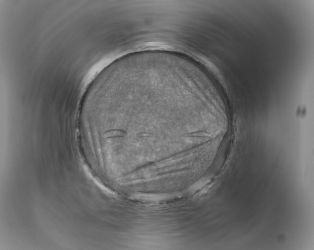 X0000110931373200907091511
