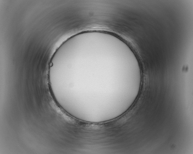 X0000110931374200907091511