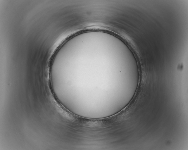 X0000110931376200907091511