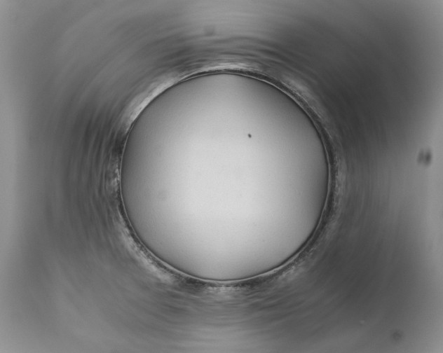 X0000110931377200907091511
