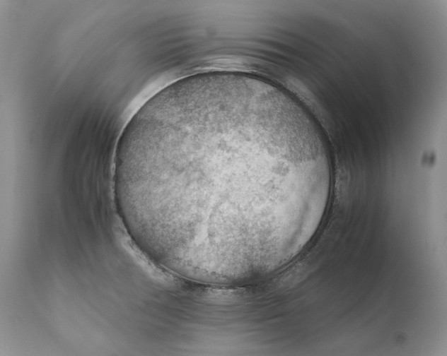 X0000110931378200907091511