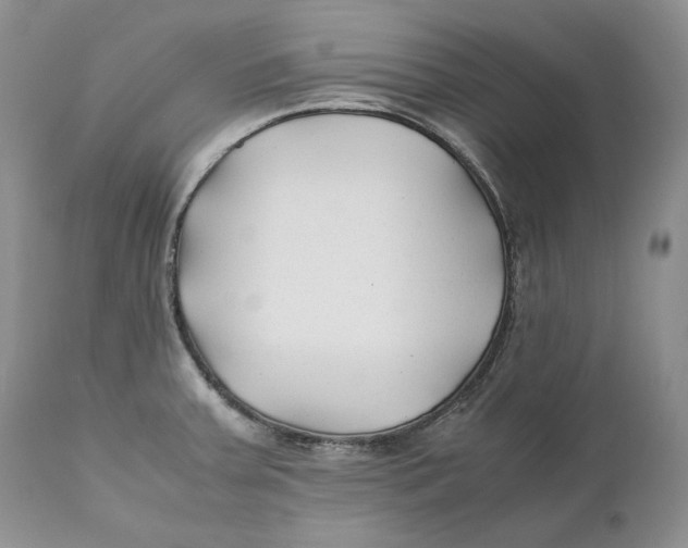 X0000110931379200907091511