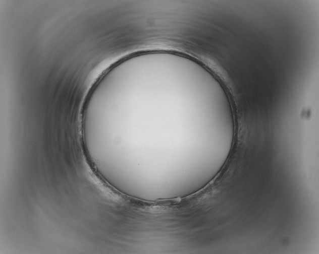 X0000110931380200907091511