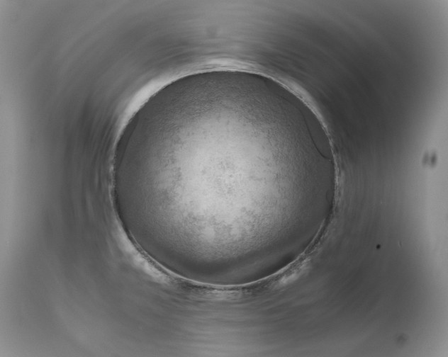 X0000110931381200907091511
