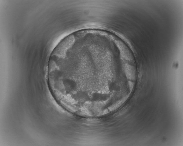 X0000110931383200907091511
