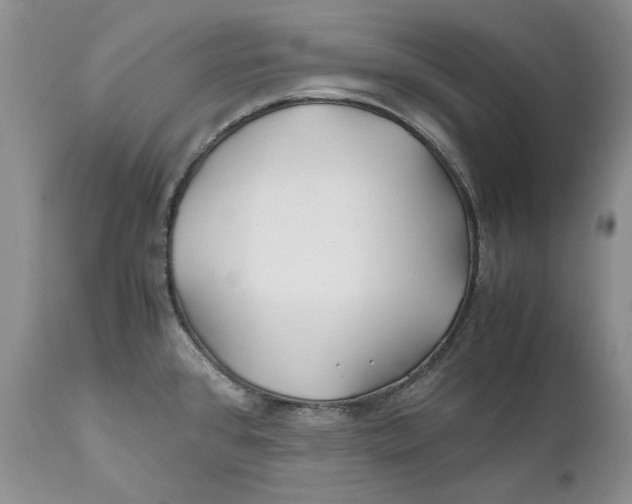 X0000110931384200907091511