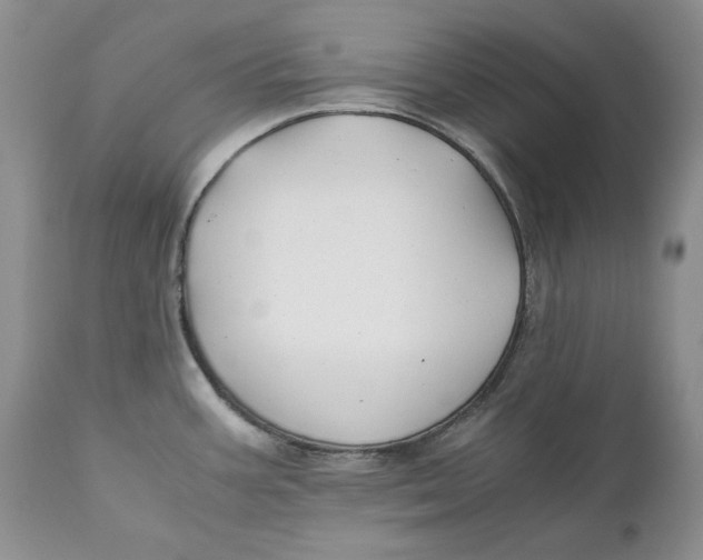 X0000110931387200907091511