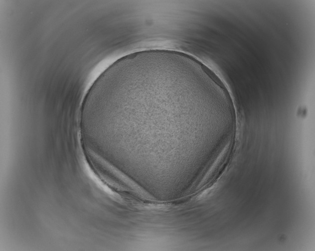 X0000110931389200907091511
