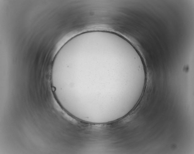 X0000110931390200907091511