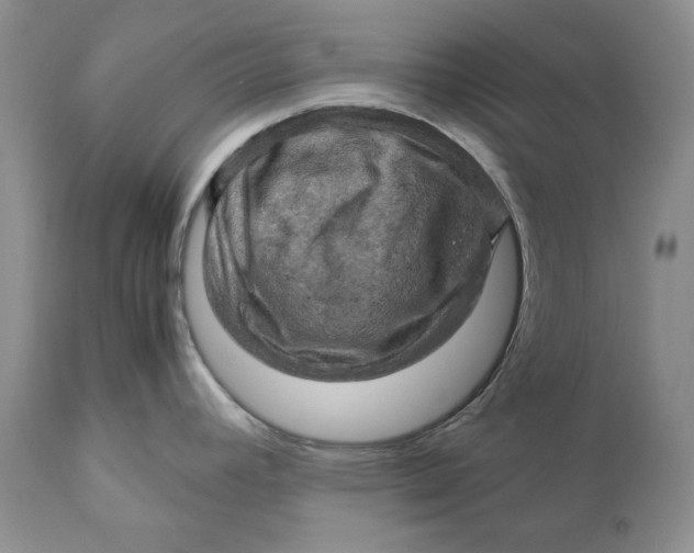X0000110931392200907091511