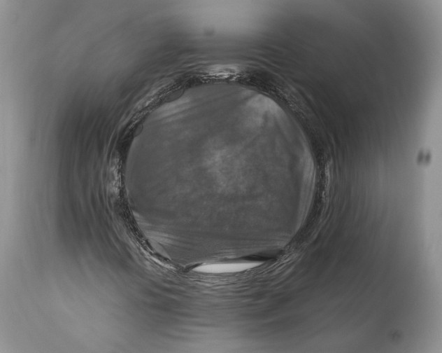 X0000110931394200907091510