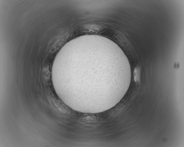 X0000110931395200907091510