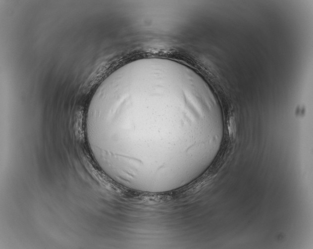 X0000110931396200907091510