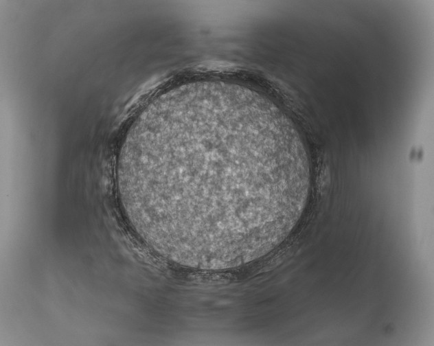 X0000110931397200907091510