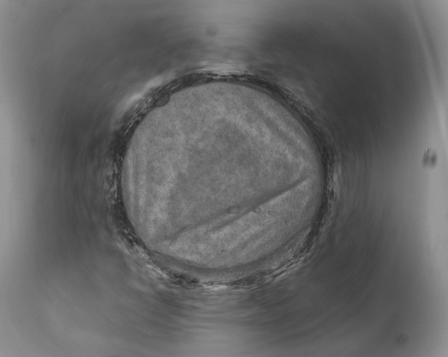X0000110931398200907091510