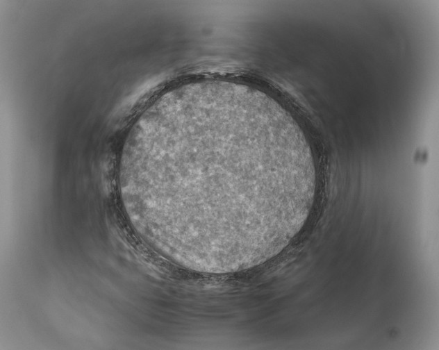 X0000110931399200907091510