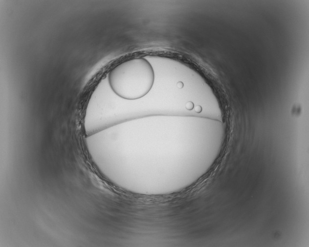 X0000110931400200907091510