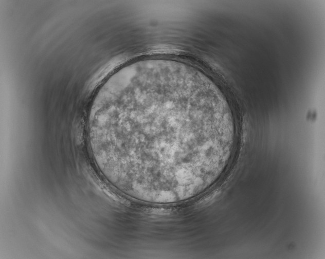 X0000110931401200907091510