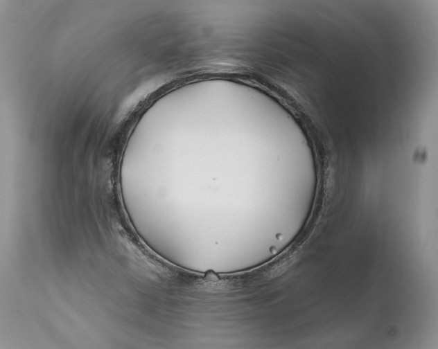 X0000110931402200907091510