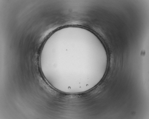 X0000110931404200907091510