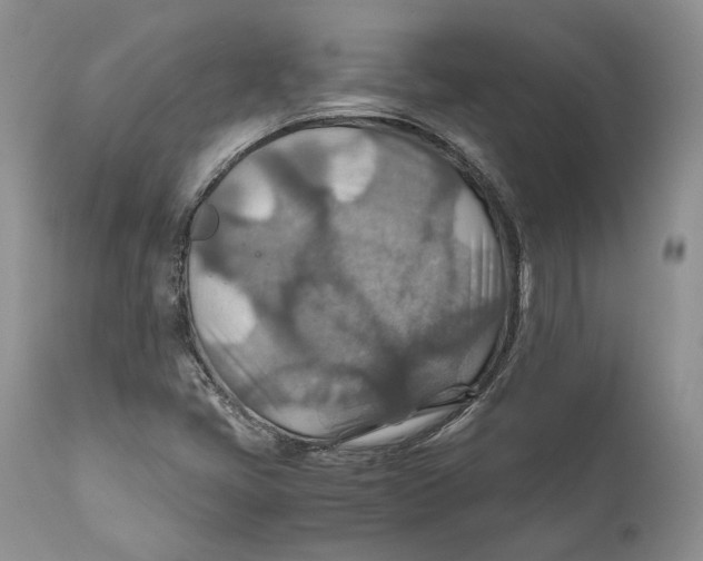 X0000110931405200907091510
