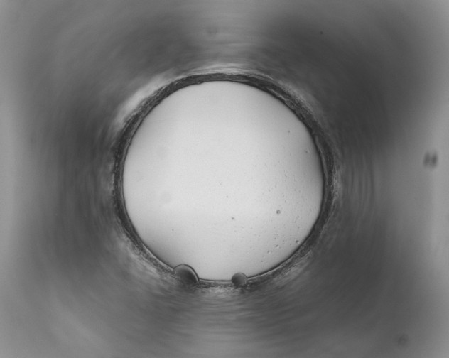 X0000110931406200907091510