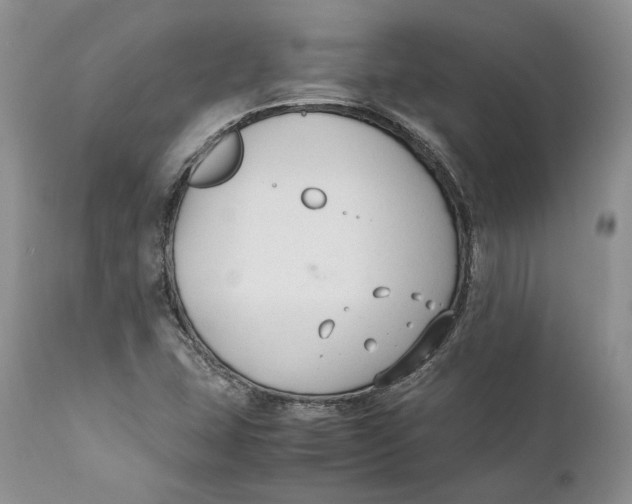 X0000110931407200907091510