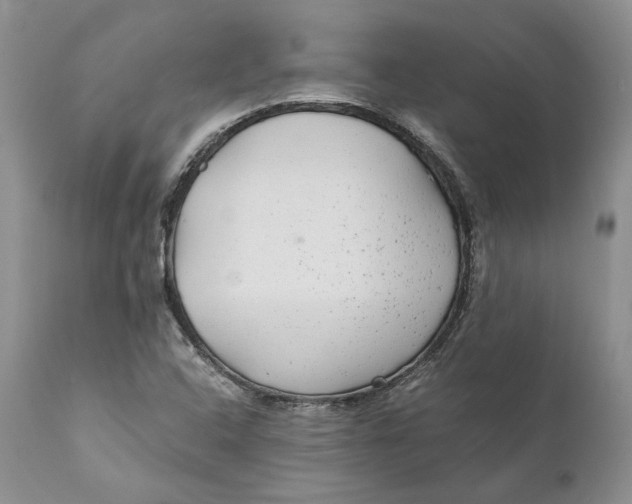 X0000110931408200907091510