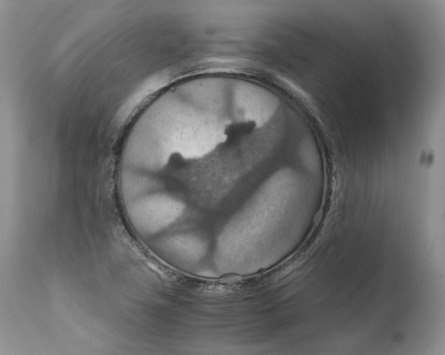 X0000110931411200907091510