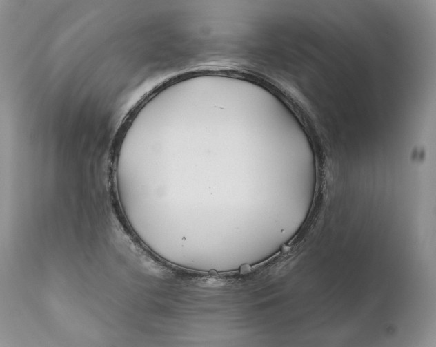 X0000110931412200907091510