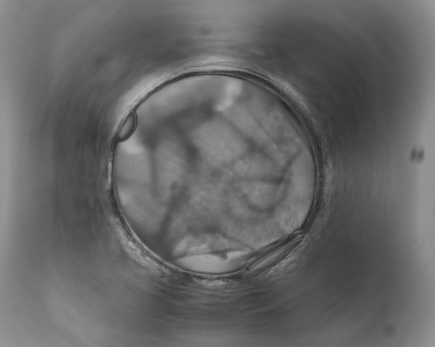 X0000110931413200907091510