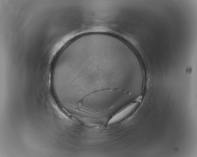 X0000110931414200907091510