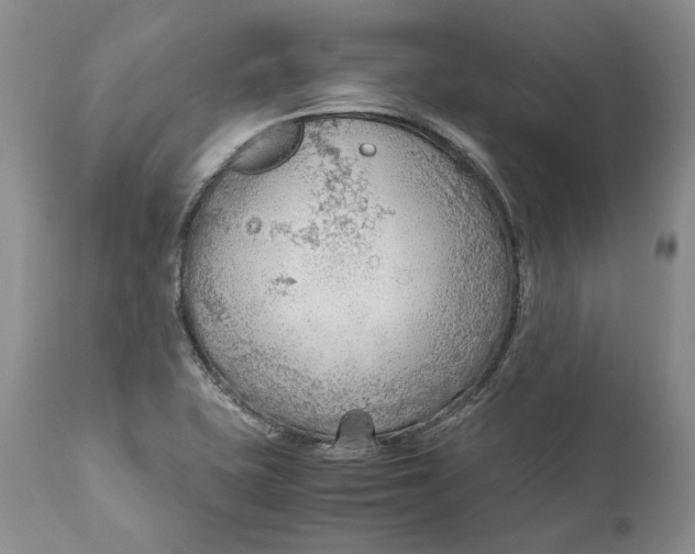 X0000110931415200907091510