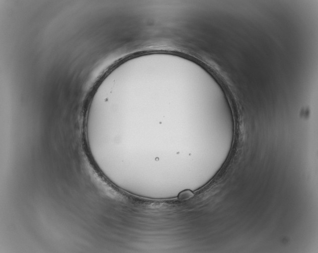 X0000110931416200907091510