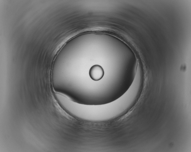 X0000110931417200907091510