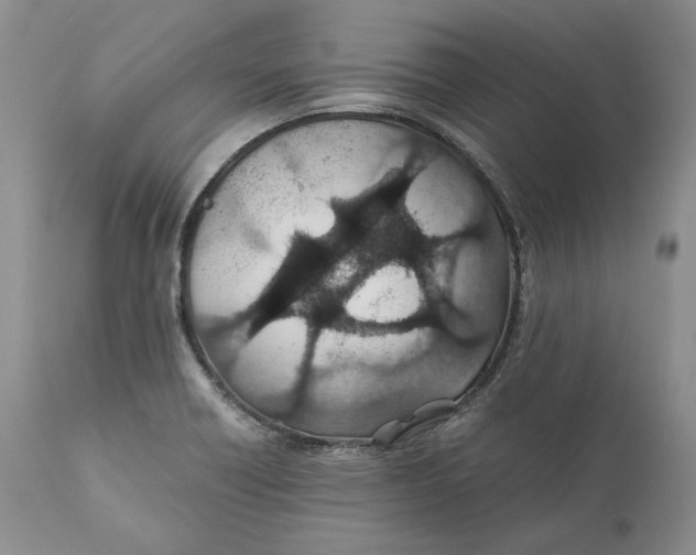 X0000110931418200907091510