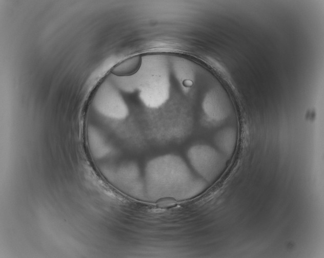 X0000110931419200907091510