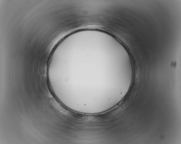 X0000110931420200907091510