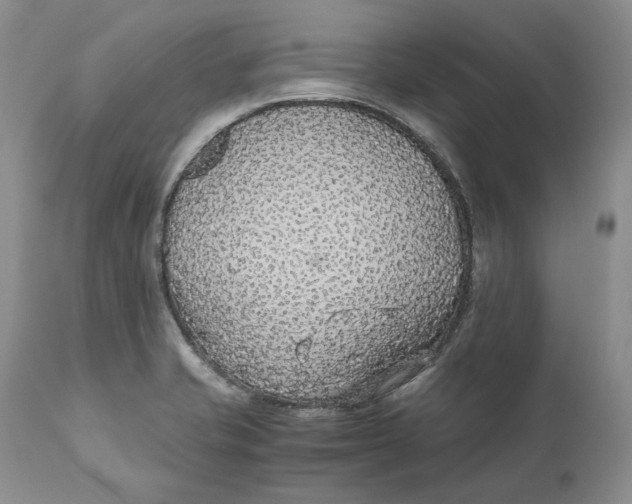 X0000110931421200907091510