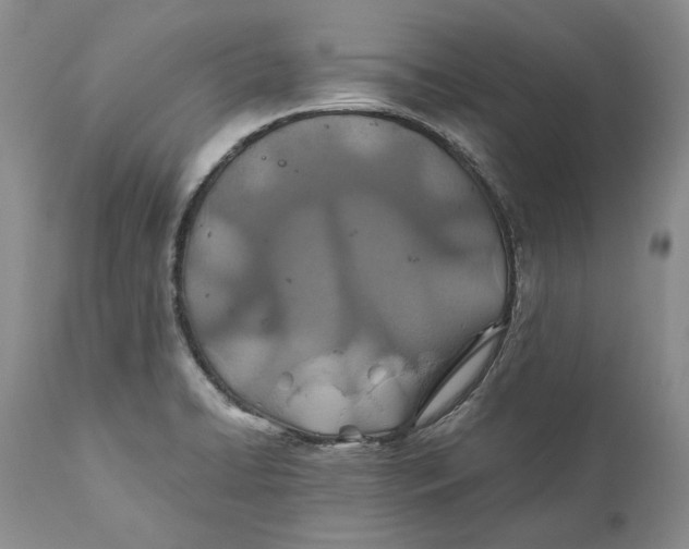X0000110931422200907091510