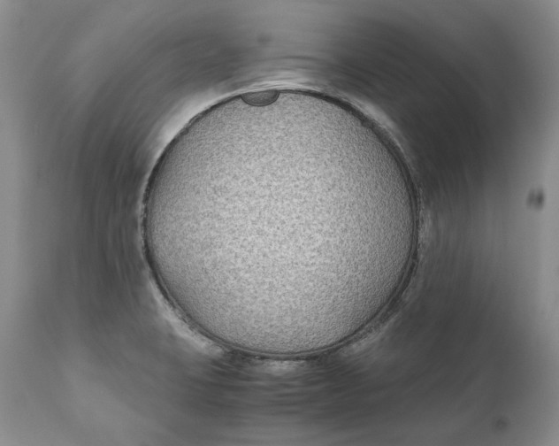 X0000110931423200907091510