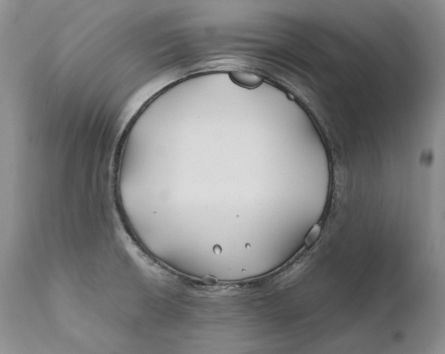 X0000110931426200907091510