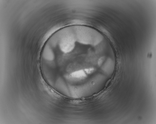 X0000110931427200907091510