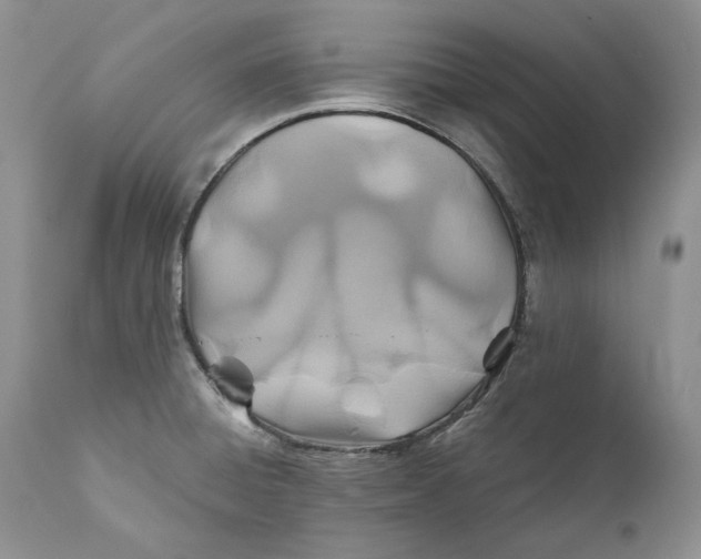 X0000110931428200907091510