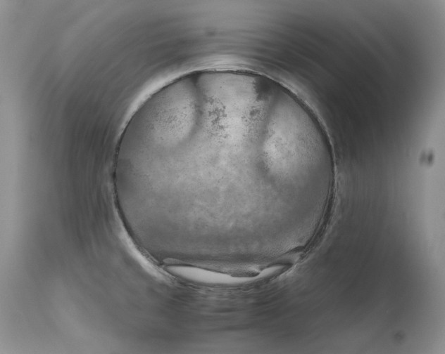 X0000110931429200907091510