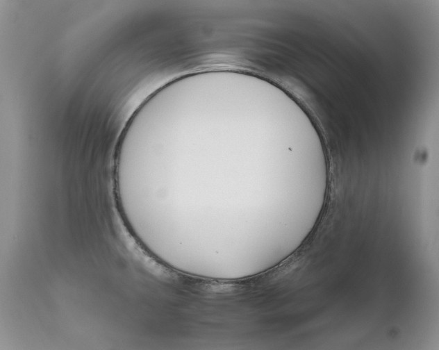 X0000110931431200907091510