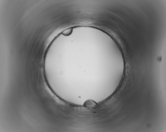 X0000110931432200907091510