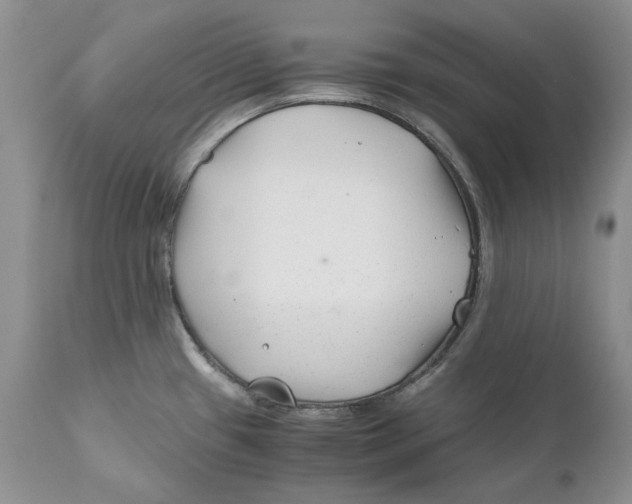 X0000110931433200907091511