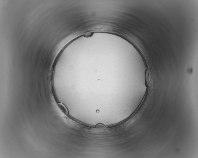 X0000110931434200907091511